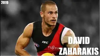 David Zaharakis 2019 Highlight Reel