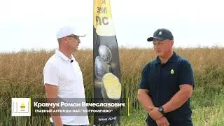 Озимый рапс компании RAPOOL в ОАО &laquo;Остромечево&raquo;. Результаты уборки.