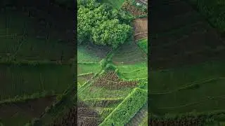 🌾🎨 Beautiful Farmland Patterns From Above | Aerial Art Landscape