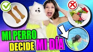 🔥¡¡MI PERRO DECIDE MI DÍA!! 🐶RETO 24 HORAS HAGO LO QUE ELIGE Chanel CHALLENGE y Esto fué lo que Pasó