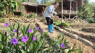 Clean and beautify the path leading up to the abandoned house where the woman is staying.