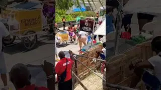 Barbados Festival #cropover #barbadostourism #visitbarbados #barbadoslife