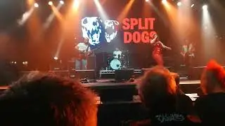 And What? - Split Dogs @ Rebellion Festival Blackpool 09/08/2025