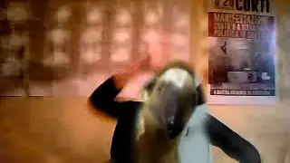 c'est la chanson du tamanoir