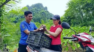 A lovely little dog rescued from dog trafficking is a great joy for CUONG and LAN