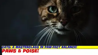 Cats: A Masterclass in Paw-fect Balance!