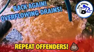 Снова здесь! Переполненные стоки! — Повторные нарушители! 💩