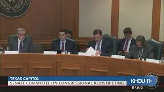 Texas Senate Committee on Congressional Redistricting advances bill to full Senate