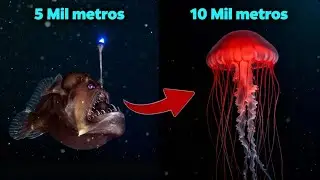 7 Criaturas BIZARRAS encontradas na FOSSA das MARIANAS