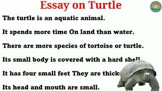 15 lines essay turtle essay in English || Kachhua par essay