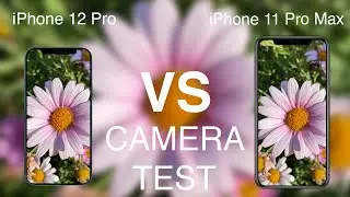 ТЕСТ КАМЕРЫ iPhone 12 Pro против iPhone 11 Pro Max!