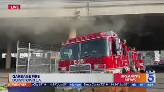 Pallet fire below off-ramp forces closure of Santa Monica Freeway