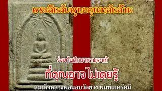 พระลึกลับพุทธคุณหลักล้าน ชุดที่72(amulet)