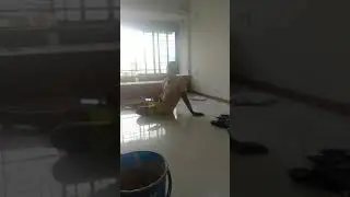 kkkjhd klo