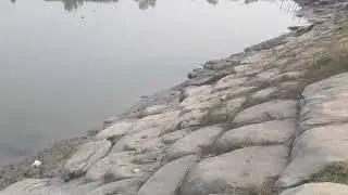 16 জানুয়ারী, 2026