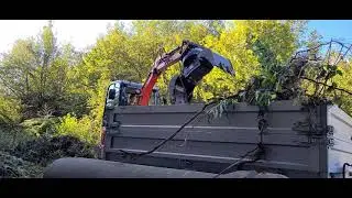 Kubota kx 019-4 mit Sortiergreifer und Roderechen