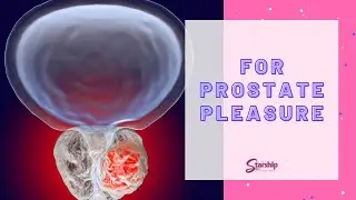We-Vibe Vector Prostate Massager