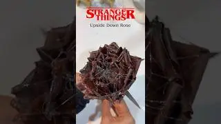 Stranger Things Decor ideas 🌹🖤 ( PART 24 ) #diy #netflix #strangerthings #roomdecor #diydecor