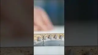 Ausrissfrei beschichtete Spanplatte s&auml;gen &ndash; ohne Worte! DLTsaw Diamant-Kreiss&auml;ge im Praxistest 🔇🪚