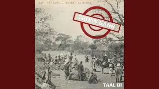 Trinw Gang