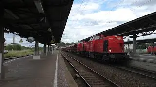 Riesa im Sommer 2021