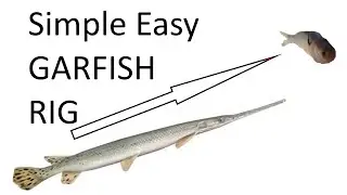 Simple Easy Free floating Garfish & Catfish Rig Setup