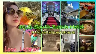 SLS South Beach Miami Hotel | MILA Restaurant, Rooftop Lounge & Mixology Bar