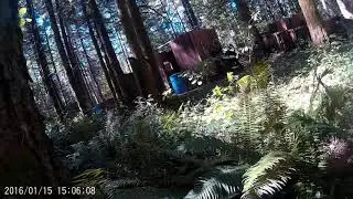 Infantry Warrior Airsoft @ South Sound Airsoft Field in Olympia WA with Team Madolorian Teammates!