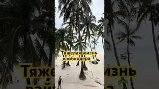 Тяжелая работа вайбкодера #coding  #ai  #python  #programming  #вайбкодинг