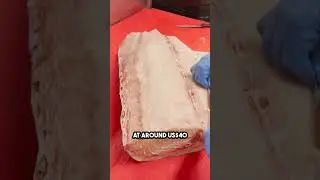 Have you ever tried swordfish? 🗡🐟 #seafood #fishing #foodporn