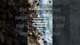 Wellness Facts : Breath deeply people! #wellness #facts #shorts #short