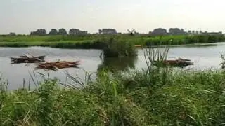 Weijde Blick