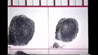 How To Take Fingerprints and Palm Prints Demo