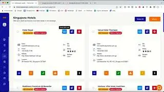 how to generate a Google Business Profile audit?