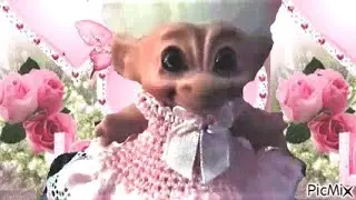 The Troll Doll Channel: The Most Beautiful Troll in the World