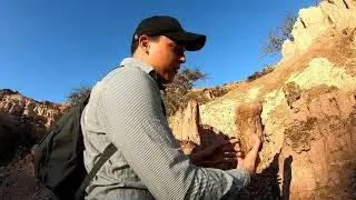 En b&uacute;squeda del mastodonte (Notiomastodon platensis)