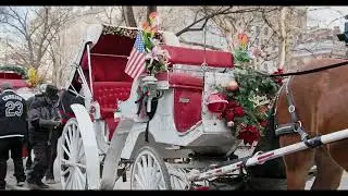 Central Park from 59th Street: The Pond Shore, Gapstow Bridge & the Golden Sherman Statue | NYC Walk