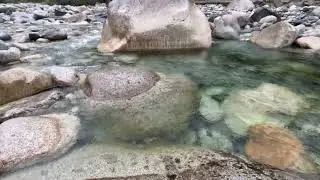 Peaceful Creek Walk at Norrish Creek, Mission BC | Nature Relaxation