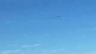 Torbay Airshow 2018 (Saturday 2nd June)