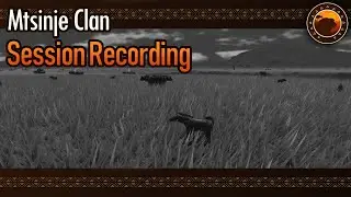 Clan Mtsinje 002 - Wild Savannah Alpha