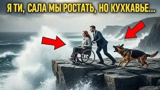 Собака Видит, Как Миллионер Толкает Девочку В Инвалидной Коляске, И Реагирует Удивительным Образом