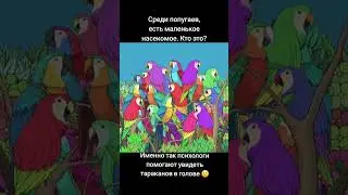 тест на внимание, психологический тест