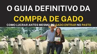 O LUCRO Começa na COMPRA: O Guia que TODO Pecuarista INICIANTE ou mesmo EXPERIENTE precisa.