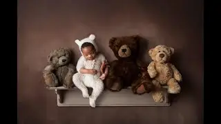 Bear On a Shelf Newborn Composite Tutorial with Pixiedrops Backdrops Digital