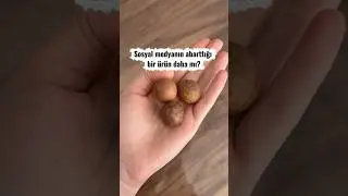 Makademya fındığı: Doğal mı, sosyal medya mı? #shorts #makademya #fındık