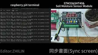 STM32F103C8T6 | Raspberry Pi 4 | SHT40 | TM1637 & 5461BS |  Soil Moisture Sensor Module