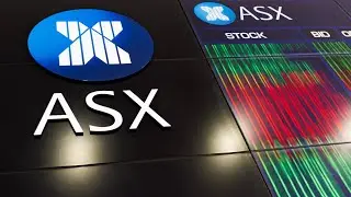 &lsquo;Brutal day&rsquo; expected for Australian investors