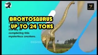 9 Unique Facts About Brontosaurus