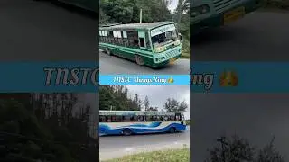 Yellow vs Green TNSTC Bus | Ghat Road Uphill U-Turn Challenge 🚍