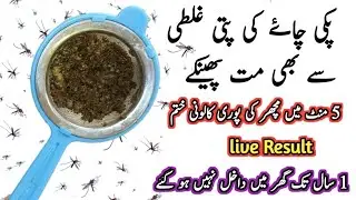 Get rid of rats, Mosquito, cockroach, lizard with homemade spray|powerful insects killer remedy🙄